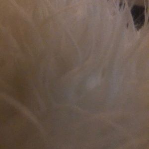 Meet your Posher, Monique